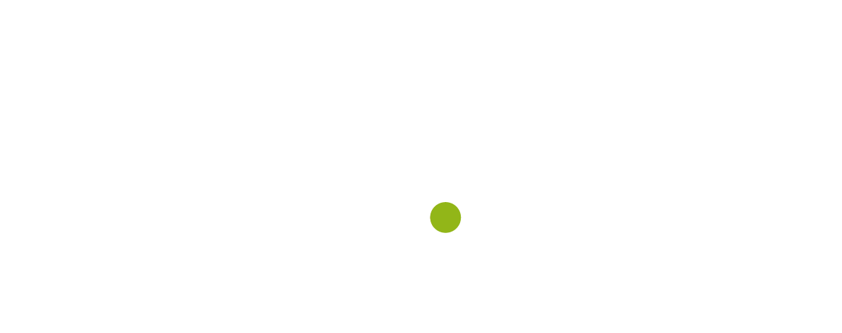 Flyingminds-data-analysis