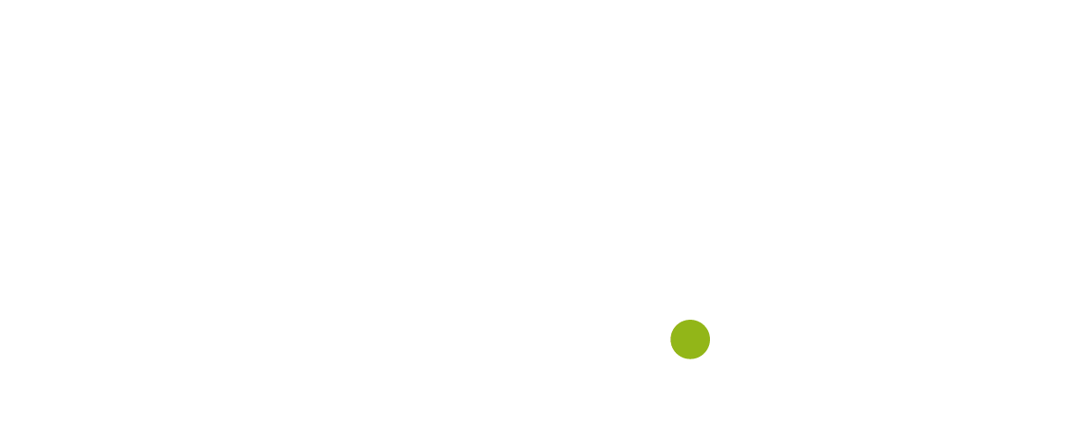 Flyingminds-digital-e-social-media-marketing