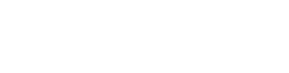Flyingminds